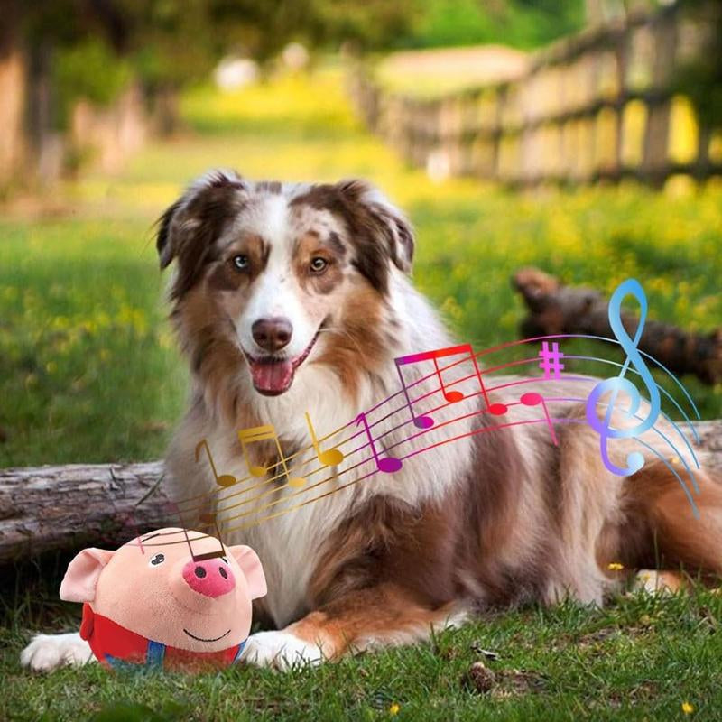 Bounce & Squeak! Rechargeable Jumping Pig Toy for Dogs & Cats – Interactive Play, Keep Pets Happy & Active