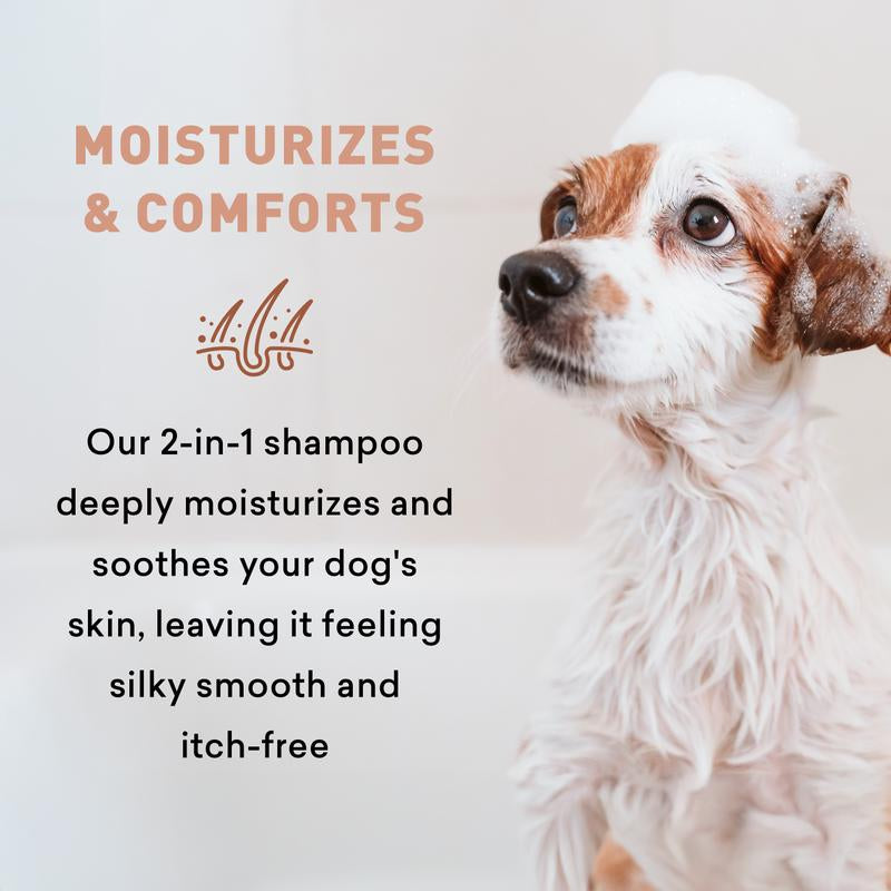 Just Nutritive Dog Shampoo & Conditioner 2-In-1 – Moisturizing, Sulfate-Free, Natural for Itchy & Dry Skin – 16Oz