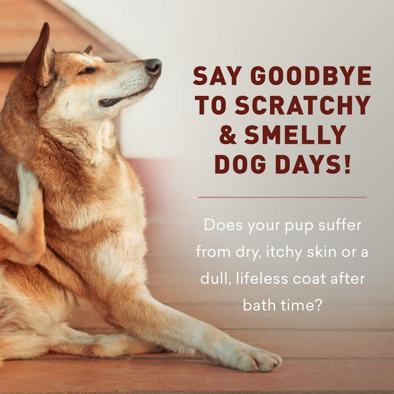 Just Nutritive Dog Shampoo & Conditioner 2-In-1 – Moisturizing, Sulfate-Free, Natural for Itchy & Dry Skin – 16Oz
