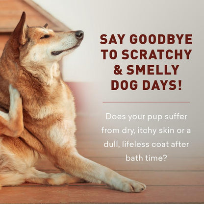 Just Nutritive Dog Shampoo & Conditioner 2-In-1 – Moisturizing, Sulfate-Free, Natural for Itchy & Dry Skin – 16Oz