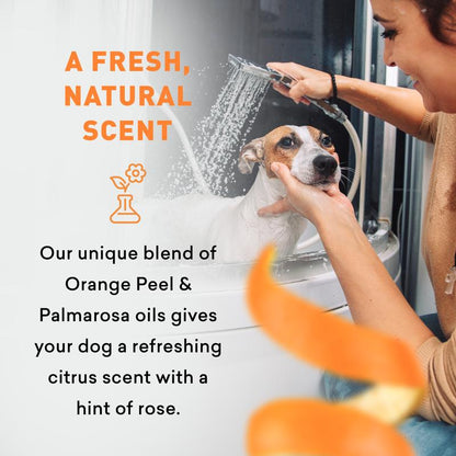 Just Nutritive Dog Shampoo & Conditioner 2-In-1 – Moisturizing, Sulfate-Free, Natural for Itchy & Dry Skin – 16Oz